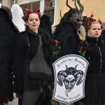 Největší jihočeský masopust se odehrál v Milevsku. Přivítal stovky masek a tisíce diváků