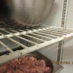V indické restauraci Tandoor v Táboře se to hemžilo šváby. Inspekce ji uzavřela
