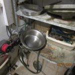 V indické restauraci Tandoor v Táboře se to hemžilo šváby. Inspekce ji uzavřela
