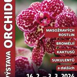 Jihočeské muzeum pořádá oblíbenou výstavu orchidejí, masožravek a dalších rostlin