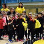 VIDEO: Akademie všestrannosti zaplnila halu! Sokolové předvedli sletové skladby