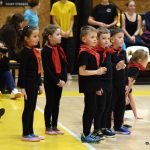 VIDEO: Akademie všestrannosti zaplnila halu! Sokolové předvedli sletové skladby