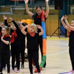 VIDEO: Akademie všestrannosti zaplnila halu! Sokolové předvedli sletové skladby