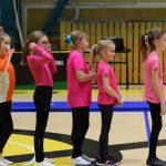 VIDEO: Akademie všestrannosti zaplnila halu! Sokolové předvedli sletové skladby