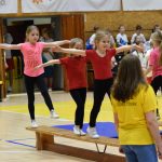 VIDEO: Akademie všestrannosti zaplnila halu! Sokolové předvedli sletové skladby