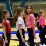 VIDEO: Akademie všestrannosti zaplnila halu! Sokolové předvedli sletové skladby