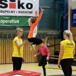 VIDEO: Akademie všestrannosti zaplnila halu! Sokolové předvedli sletové skladby