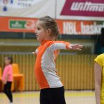 VIDEO: Akademie všestrannosti zaplnila halu! Sokolové předvedli sletové skladby