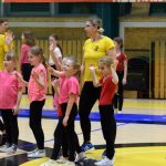 VIDEO: Akademie všestrannosti zaplnila halu! Sokolové předvedli sletové skladby