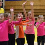 VIDEO: Akademie všestrannosti zaplnila halu! Sokolové předvedli sletové skladby