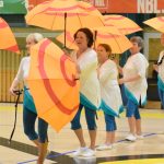 VIDEO: Akademie všestrannosti zaplnila halu! Sokolové předvedli sletové skladby