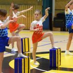 VIDEO: Akademie všestrannosti zaplnila halu! Sokolové předvedli sletové skladby