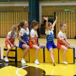 VIDEO: Akademie všestrannosti zaplnila halu! Sokolové předvedli sletové skladby