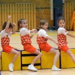 VIDEO: Akademie všestrannosti zaplnila halu! Sokolové předvedli sletové skladby