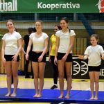 VIDEO: Akademie všestrannosti zaplnila halu! Sokolové předvedli sletové skladby