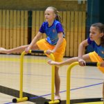 VIDEO: Akademie všestrannosti zaplnila halu! Sokolové předvedli sletové skladby