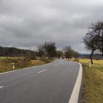 Staré stromy podél silnice od Tábora do Letů byly pokáceny