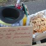 Osadní výbor v Srlíně zorganizoval premiéru maškarního průvodu. Vydařila se