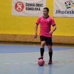 VIDEO: Delfíni se vrací na trůn! Ve finále nedali Ovečkám šanci