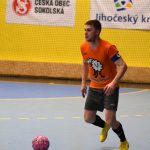 VIDEO: Delfíni se vrací na trůn! Ve finále nedali Ovečkám šanci