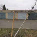 Řádění vandalů v Písku pokračuje, poškodili další tři stromy v Lipové aleji