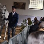 Chovatelská přehlídka přilákala do Zemského hřebčince v Písku stovky lidí