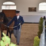 Chovatelská přehlídka přilákala do Zemského hřebčince v Písku stovky lidí