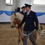 Chovatelská přehlídka přilákala do Zemského hřebčince v Písku stovky lidí