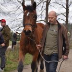 Chovatelská přehlídka přilákala do Zemského hřebčince v Písku stovky lidí