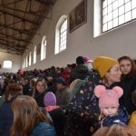 Chovatelská přehlídka přilákala do Zemského hřebčince v Písku stovky lidí