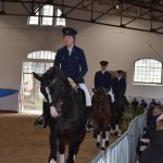 Chovatelská přehlídka přilákala do Zemského hřebčince v Písku stovky lidí
