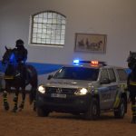 Chovatelská přehlídka přilákala do Zemského hřebčince v Písku stovky lidí