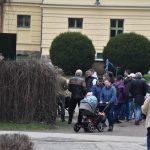 Chovatelská přehlídka přilákala do Zemského hřebčince v Písku stovky lidí