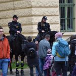 Chovatelská přehlídka přilákala do Zemského hřebčince v Písku stovky lidí