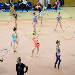 Legendární závod na poli moderní gymnastiky opět po roce zaplnil sportovní halu. Do Milevska dorazilo přes 250 závodnic