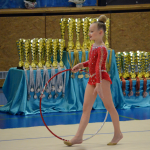 Legendární závod na poli moderní gymnastiky opět po roce zaplnil sportovní halu. Do Milevska dorazilo přes 250 závodnic