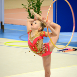 Legendární závod na poli moderní gymnastiky opět po roce zaplnil sportovní halu. Do Milevska dorazilo přes 250 závodnic