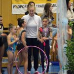Legendární závod na poli moderní gymnastiky opět po roce zaplnil sportovní halu. Do Milevska dorazilo přes 250 závodnic