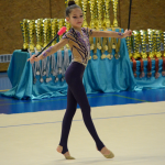 Legendární závod na poli moderní gymnastiky opět po roce zaplnil sportovní halu. Do Milevska dorazilo přes 250 závodnic