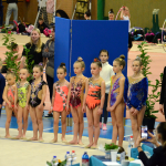 Legendární závod na poli moderní gymnastiky opět po roce zaplnil sportovní halu. Do Milevska dorazilo přes 250 závodnic