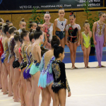 Legendární závod na poli moderní gymnastiky opět po roce zaplnil sportovní halu. Do Milevska dorazilo přes 250 závodnic