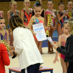 Legendární závod na poli moderní gymnastiky opět po roce zaplnil sportovní halu. Do Milevska dorazilo přes 250 závodnic