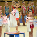 Legendární závod na poli moderní gymnastiky opět po roce zaplnil sportovní halu. Do Milevska dorazilo přes 250 závodnic