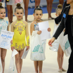 Legendární závod na poli moderní gymnastiky opět po roce zaplnil sportovní halu. Do Milevska dorazilo přes 250 závodnic