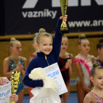 Legendární závod na poli moderní gymnastiky opět po roce zaplnil sportovní halu. Do Milevska dorazilo přes 250 závodnic