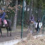 Fotbalistům rezervního týmu Táborska se v koncovce duelu s Vltavínem zakutálely dva body