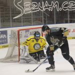 Hokej: Hluboká potřetí zdolala Veselí a těší se na finále. S Milevskem?