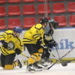 Hokej: Hluboká potřetí zdolala Veselí a těší se na finále. S Milevskem?