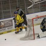 Hokej: Hluboká potřetí zdolala Veselí a těší se na finále. S Milevskem?