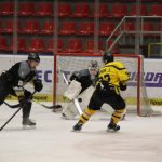 Hokej: Hluboká potřetí zdolala Veselí a těší se na finále. S Milevskem?